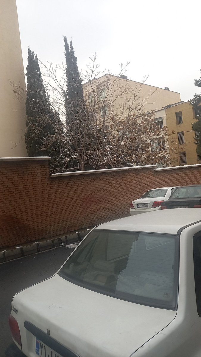 سید مصطفی شمس tweet media