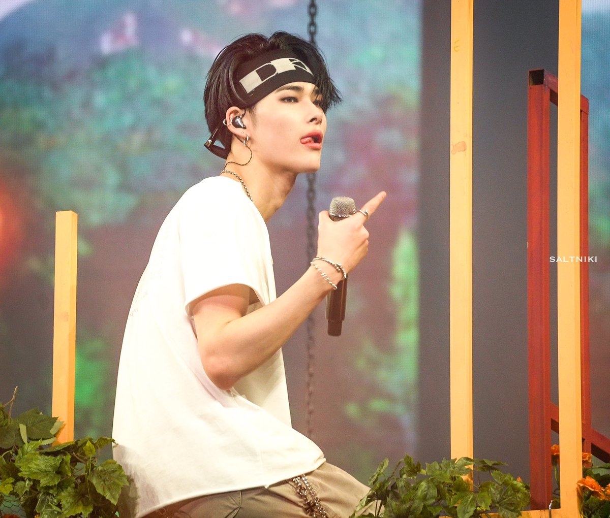 Salt￤fan acc tweet media