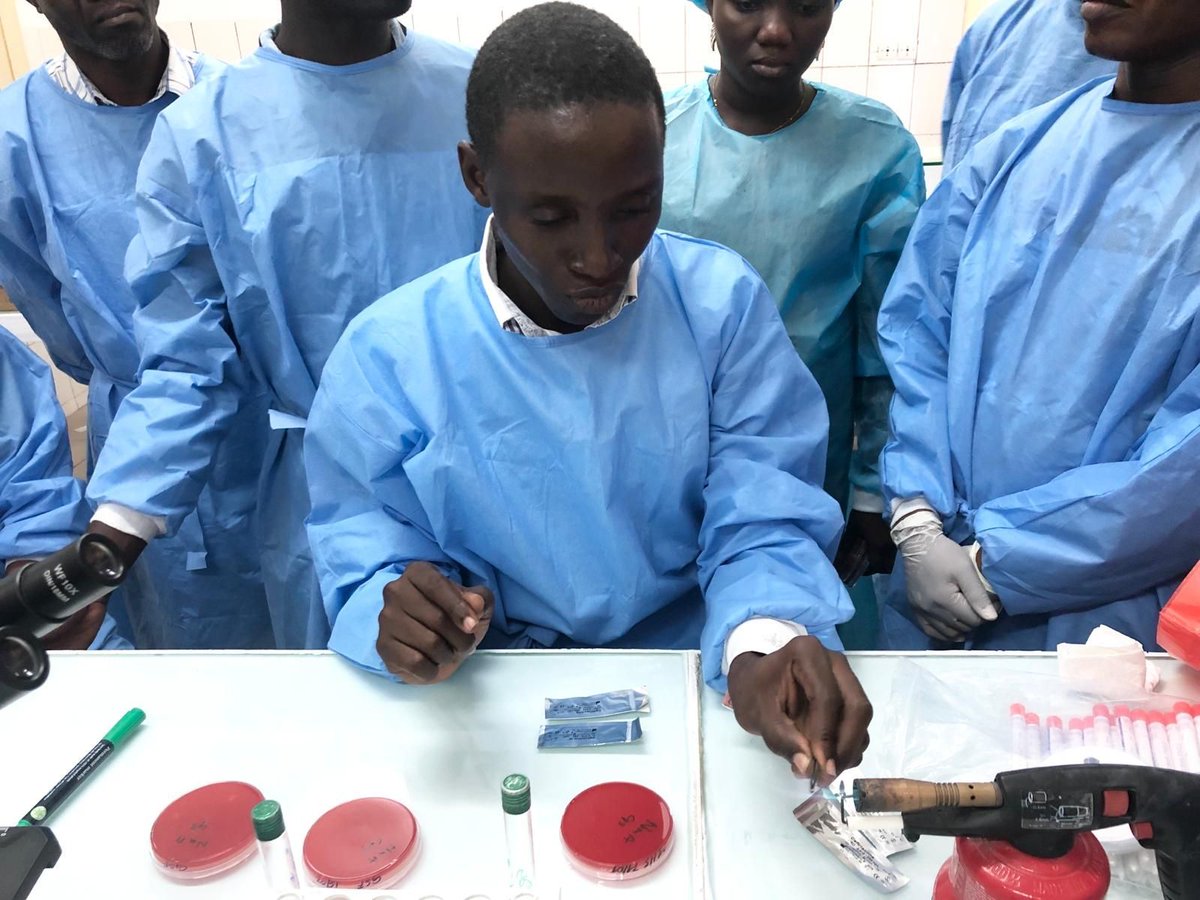 GSSHealth's tweet photo. GSSHealth recently facilitated a training in Togo to enhance laboratory professionals' technical capacities to detect bacterial #meningitis and #drugresistance. Thank you to our collaborators for making this workshop possible! #globalhealth #diseasecontrol #laboratorymedicine https://t.co/OT9nGpVT7b
