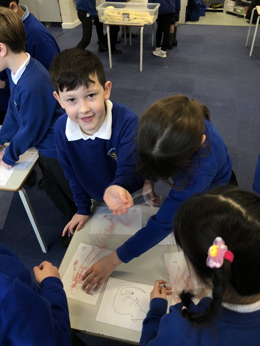 Class 3/4S tweet media