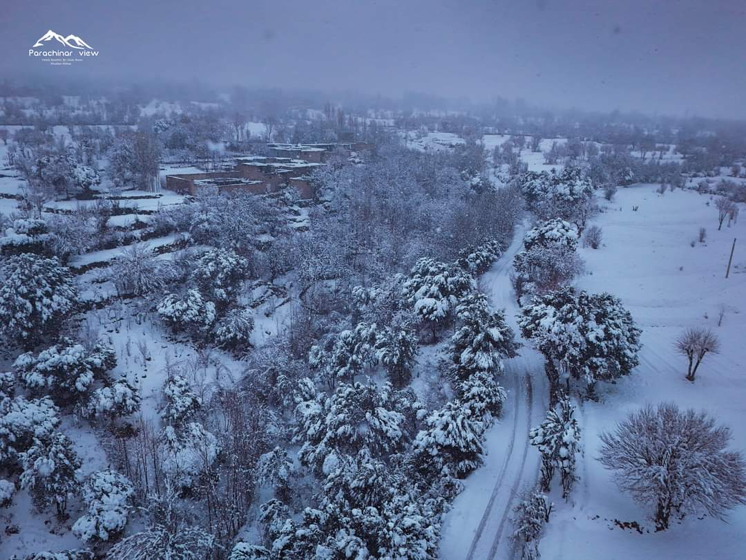 GulRukhDawarr's tweet photo. Unseen beauty of Pewar village 😍❄️ Parachinar, District Kurram.
#Parachinar #Pewar #snowfall https://t.co/EvaUGVOdtJ