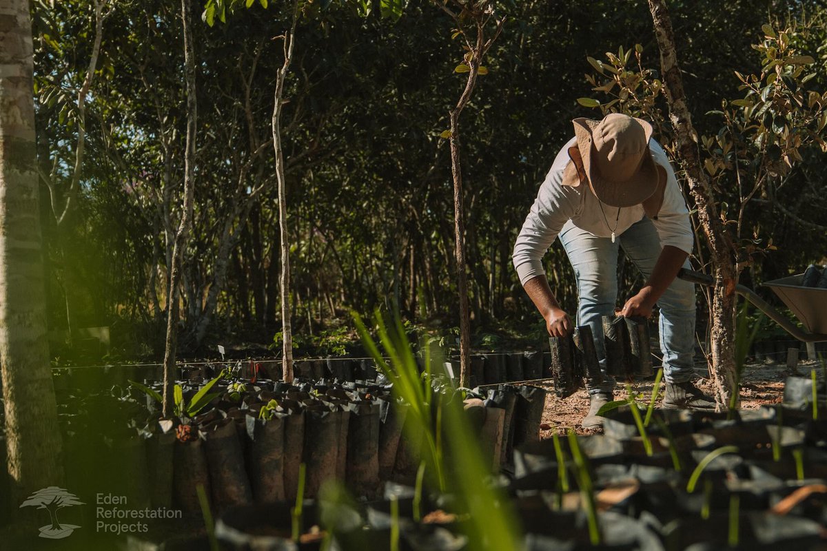At Evergreen, we help companies to meet Environmental, Social, and Governance commitments.

Together with Eden Reforestation Projects and all our users, we have planted hundreds of thousands of trees.🌲