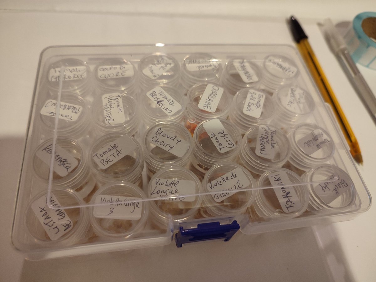 banquedegraines's tweet photo. Boite de germinations. 24 variétés de tomates 🍅 par boîte. https://t.co/64Irf9sETm