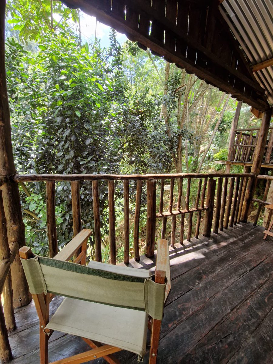 Our wooden chalets in the heart of the Aberdare Ranges offer a glimpse into nature's tranquility to elevate your wellness getaway. Who's your ideal companion for this serene escape? 🍃 #Nature #WellnessDestination #AberdareCottages #SereneSpaces #Travel