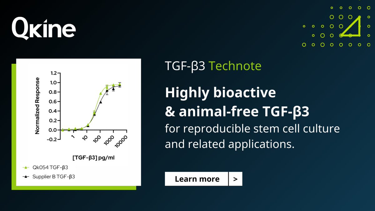 Qkine has developed a highly bioactive & animal-free TGF-β3 to improve reproducibility in stem cell cultures. Learn more about the comparable bioactivity of Qkine TGF-β3 to bacterial-expressed TGF-β3 from an alternative major supplier - zurl.co/5qU5 #StemCells