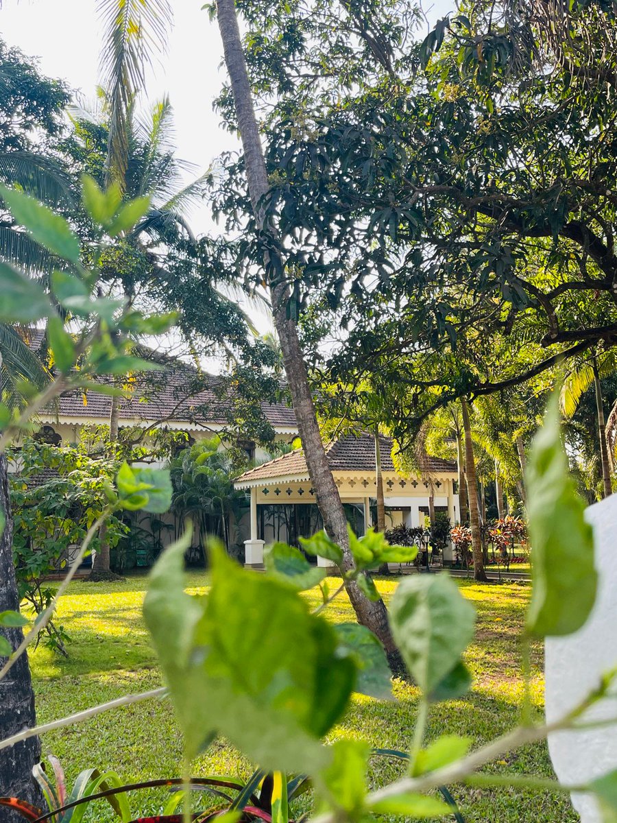 axdinair's tweet photo. Cuelim- a serene suburb known for its picturesque landscapes, historic charm, and a tranquil ambiance.
.
.
@ The Postcard Cuelim 
.
.

 #thepostcardhotel #cuelim #thepostcardcuelim #northgoa #goa #travelgram #luxurytravel #luxuryhotels #luxuryresort #hotelsandresorts #hotel https://t.co/ydJrNBLxWA
