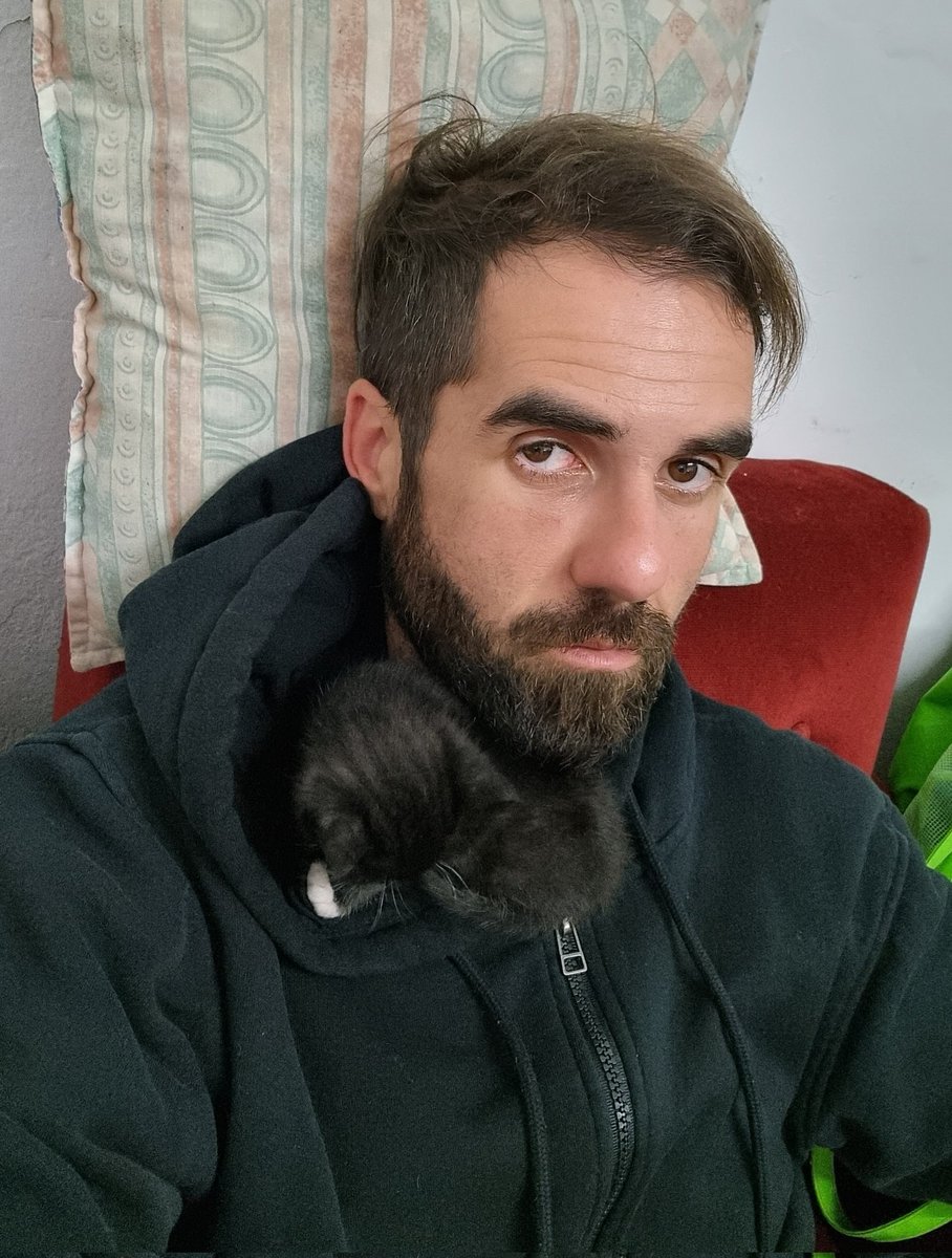 Rodzeroskull's tweet image. Find the cat