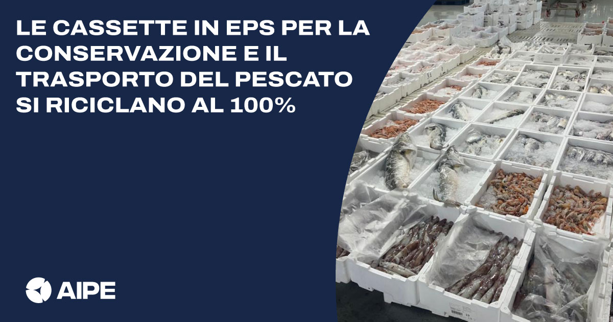 Le cassette in EPS sono il materiale più impiegato per la conservazione e il trasporto del pesce fresco perché soddisfano le esigenze degli operatori della filiera garantendo qualità e freschezza dei prodotti, sono resistenti e completamente riciclabili. tinyurl.com/ef32msrn