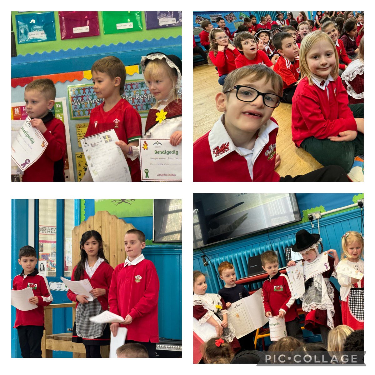 Coed-Y-Lan Primary School tweet media