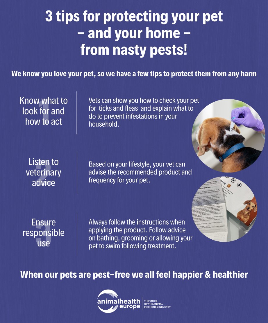 Today marks the start of #TickBitePreventionWeek  

Ticks can transmit several diseases to our beloved pets, some even being fatal. 😨
That's why we highlight the importance of parasite protection and prevention