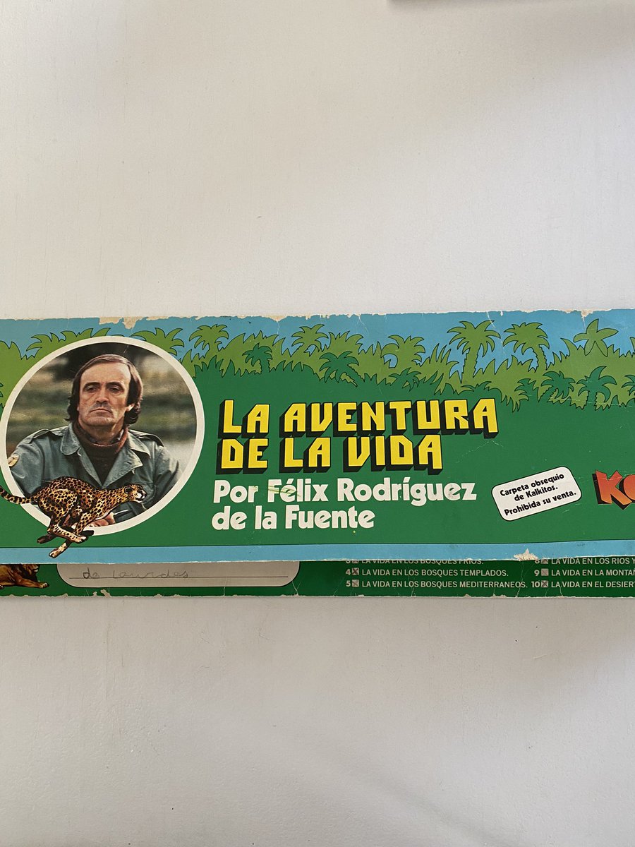 anitamacarron's tweet image. Es lo que tiene guardar todo. #Kalkitos