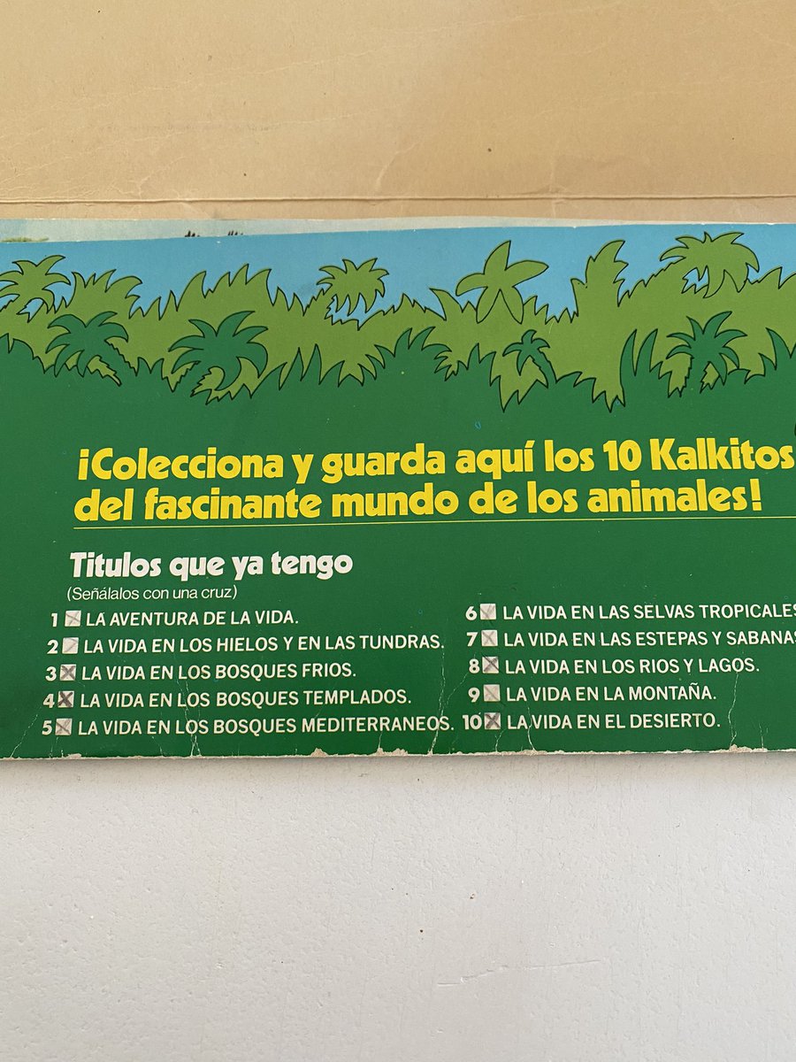 anitamacarron's tweet image. Es lo que tiene guardar todo. #Kalkitos