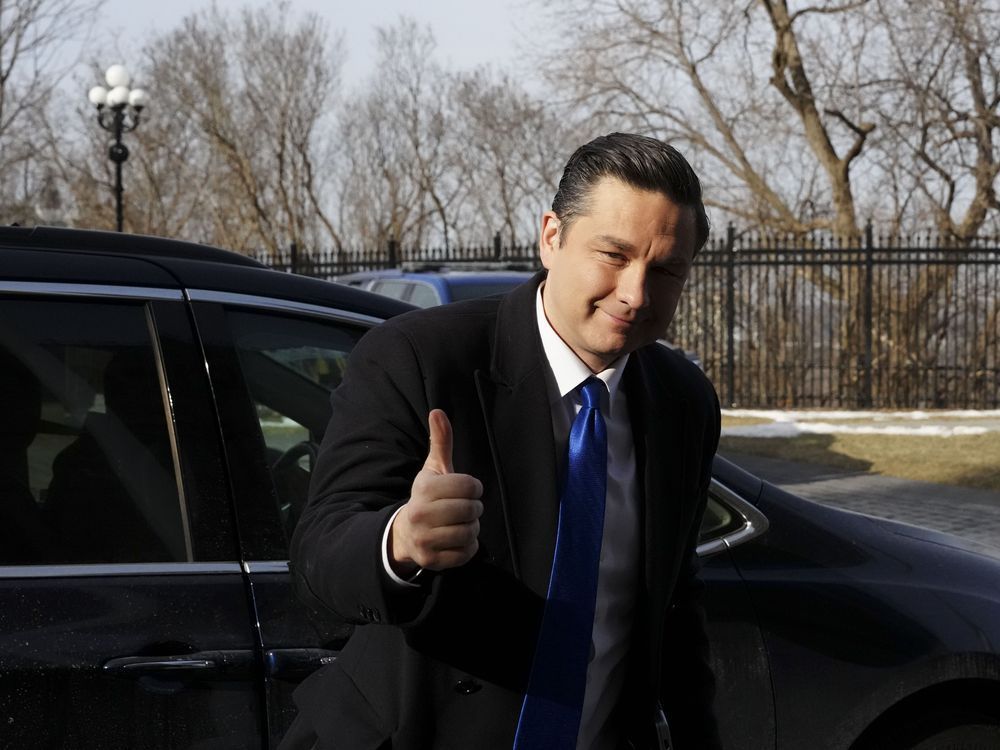 truckdriverpleb's tweet photo. Pierre Poilievre is now projected to win the LARGEST majority government in Canadian history

The next election is going to be the biggest F*CK TRUDEAU in recorded history https://t.co/9np9TICTbz