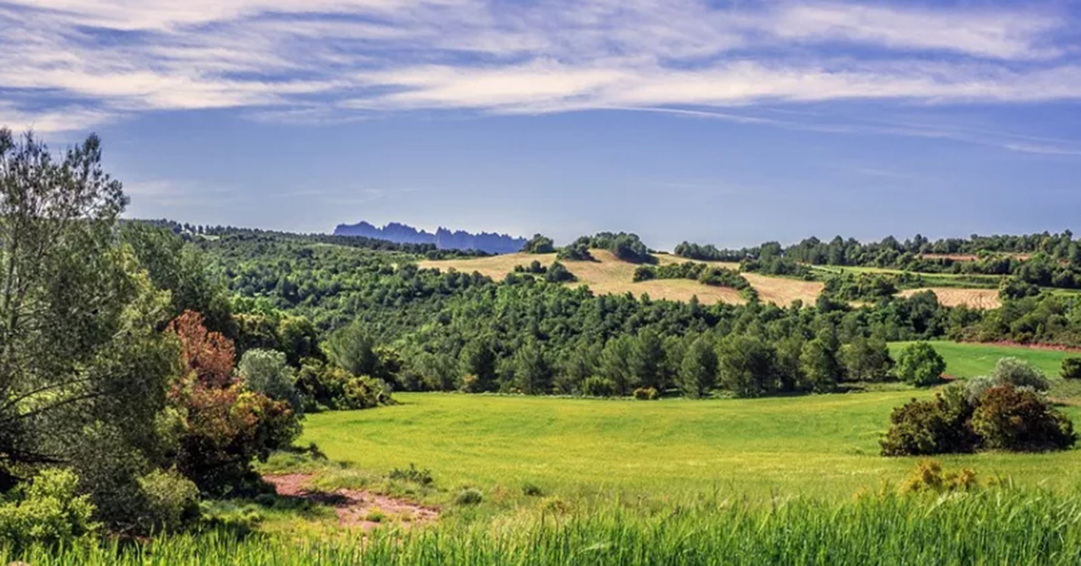 Join us at 4pm CET for a webinar on managing protected areas in multi-functional landscapes, hosted by @IUCNEurope & @IUCN_WCPA Europe. Get the latest developments on protected areas within the Global Biodiversity Framework: bit.ly/ManagingProtec…