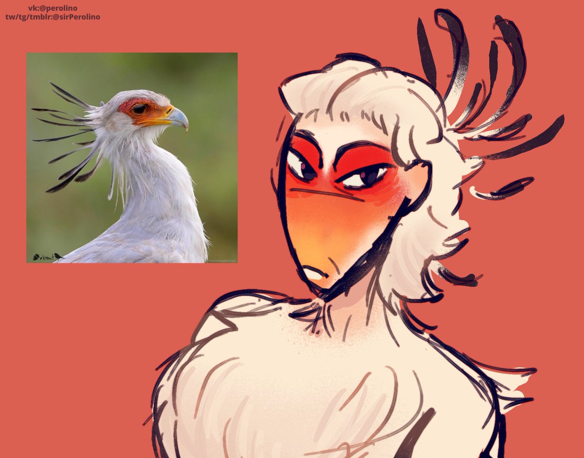 Sooo uhhh BIRDS
#art #smallartist #ArtistOnTwitter #characterdesign #characterart #character