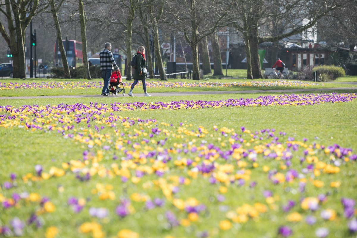 TowerHamletsNow's tweet photo. From Wapping to Mile End, from Bethnal Green to Bow, or Stepney to Spitalfields, every part of Tower Hamlets is a ‘go to’ area for millions of people to visit again and again. Read more: https://t.co/Ede9pzhxaX
#onlyinTowerHamlets https://t.co/q6yunajzfG