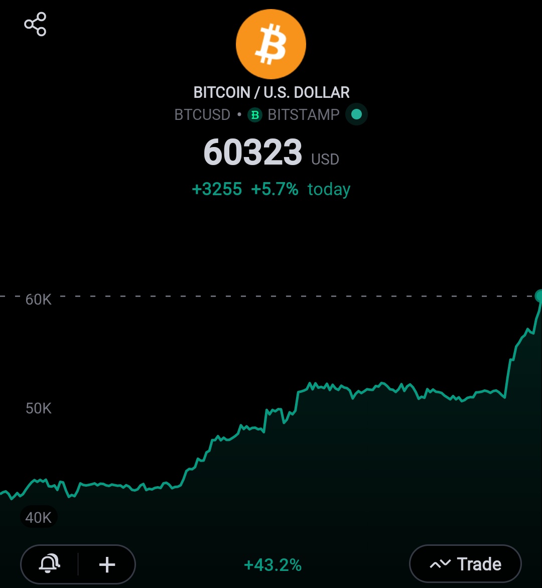 SIXTY THOUSAND UNITED STATES DOLLARS FOR ONE BIT COIN