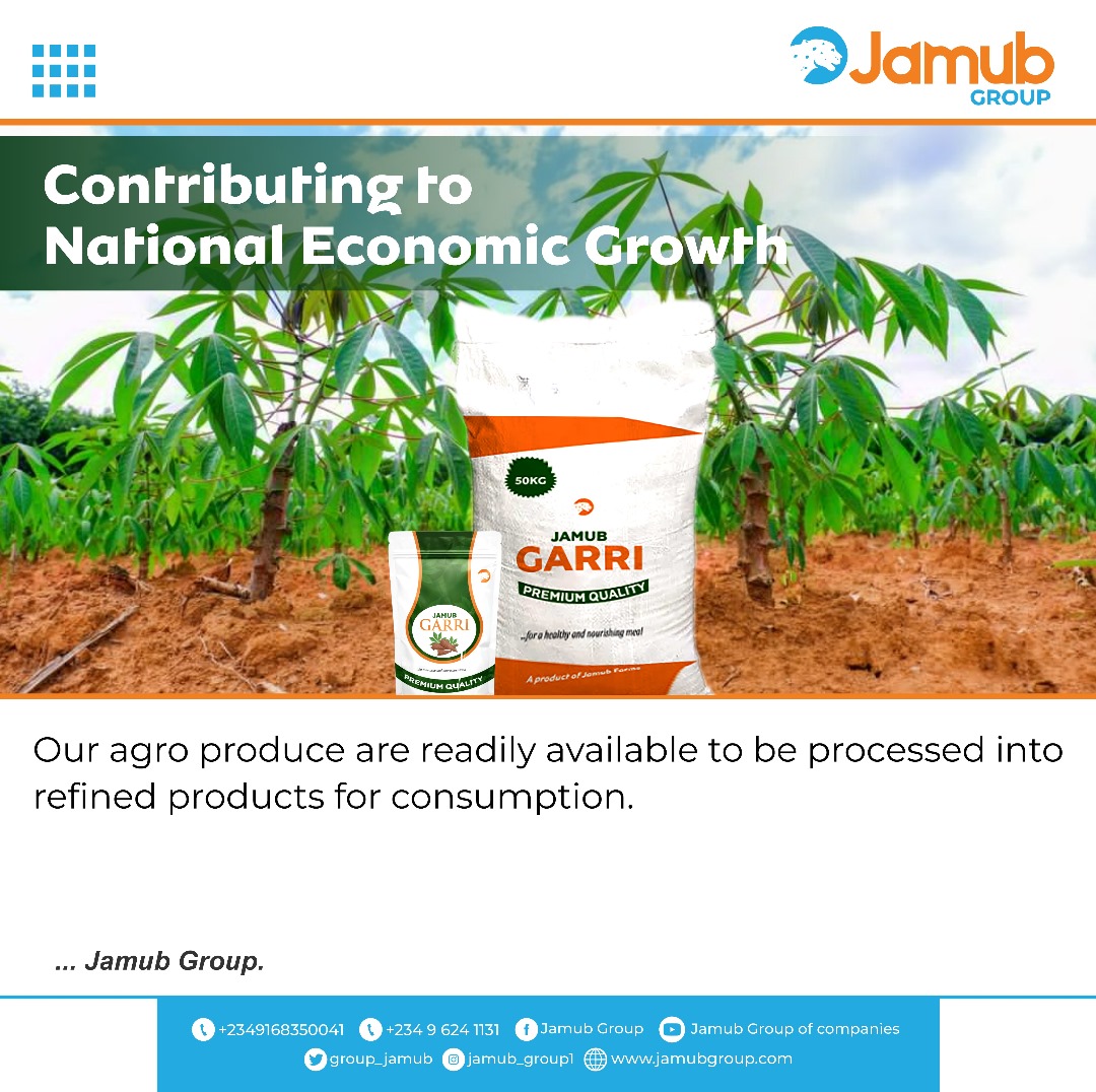 Contributing to National Economic Growth
Visit us now @www.jamubgroup.com.
Or call +2349168350041.
#jamubgroup #agriculture #cassavafarm #economicgrowth #infrastructuredevelopment #farming #addingvalue #ourclientourpride #abujanigeria
#thinkjamubthinksolutions.