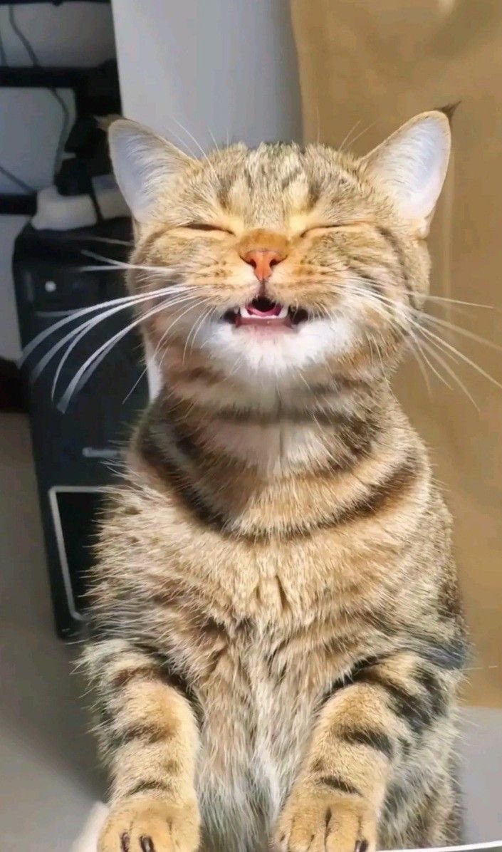 _Saturdayq_'s tweet image. 🫳🏻😸🥺

#ATLASIGotThatMagic_MV
#PoomATLAS