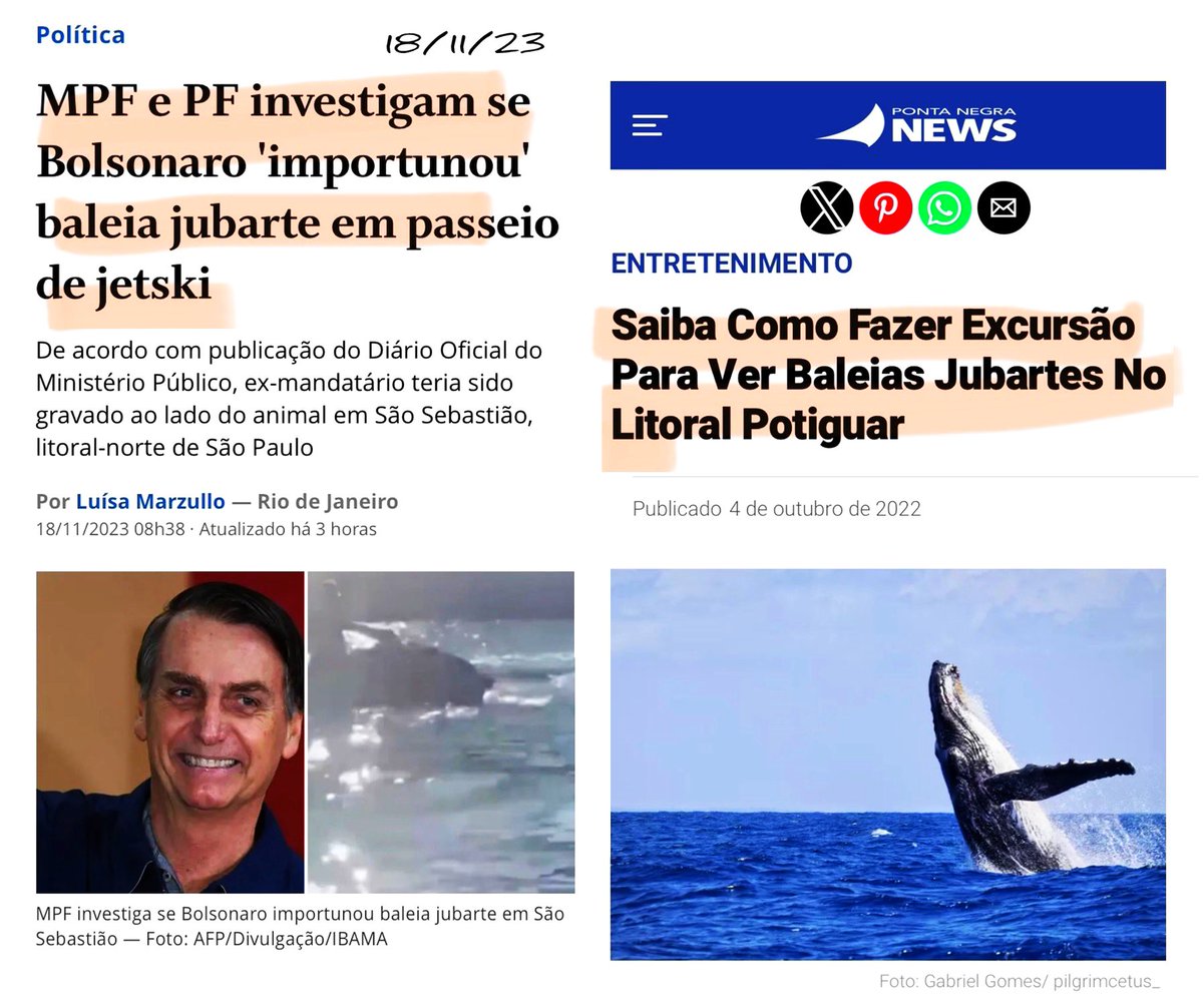 BrazilenDireita's tweet photo. Magina...
'Perseguição Política' ???
#Bolsonaro #jetsky #baleia https://t.co/CEmlLXqaOa