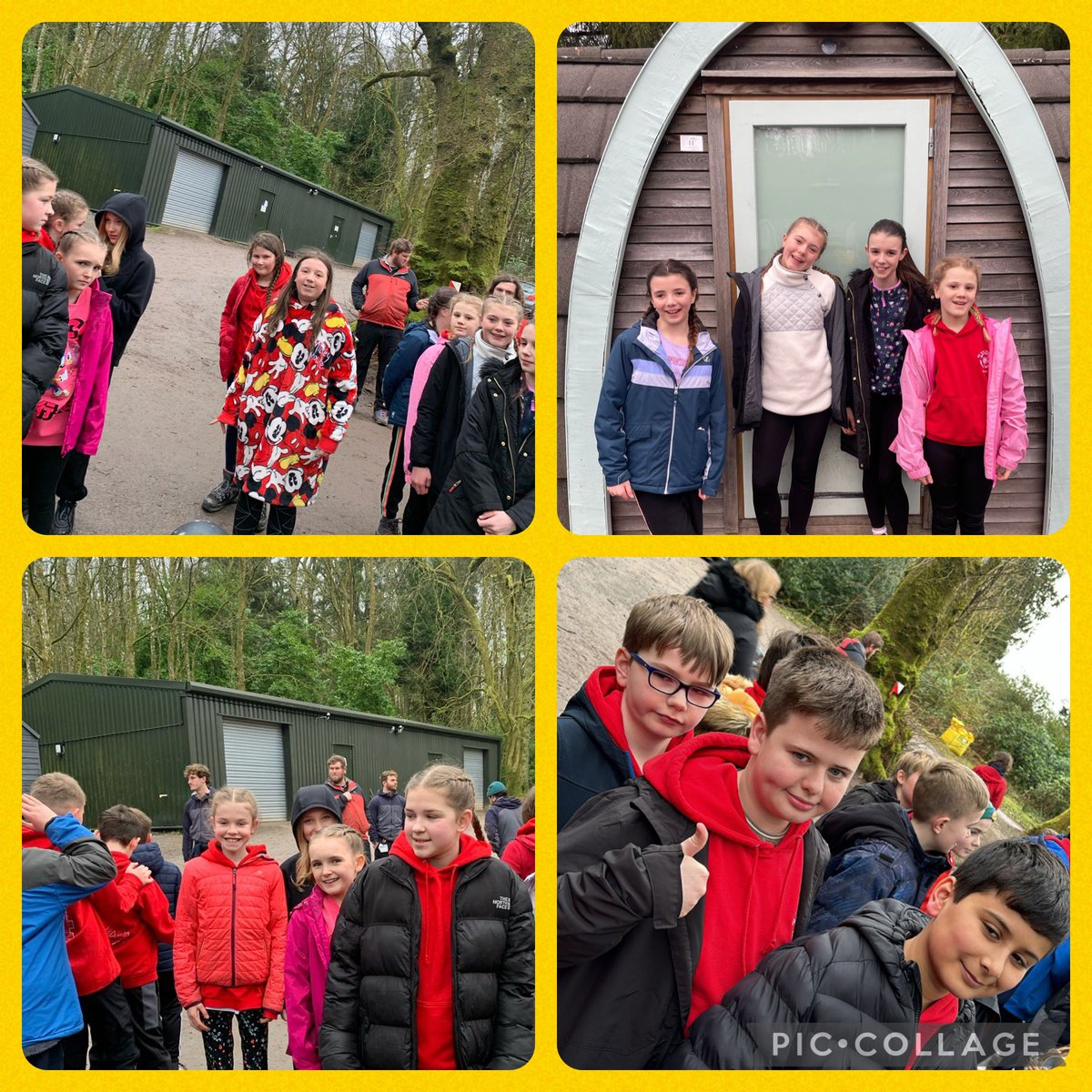 maddiston_ps's tweet image. POD life!