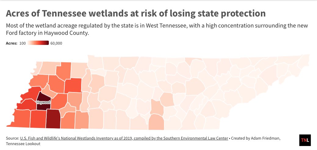 Adam Friedman tweet media