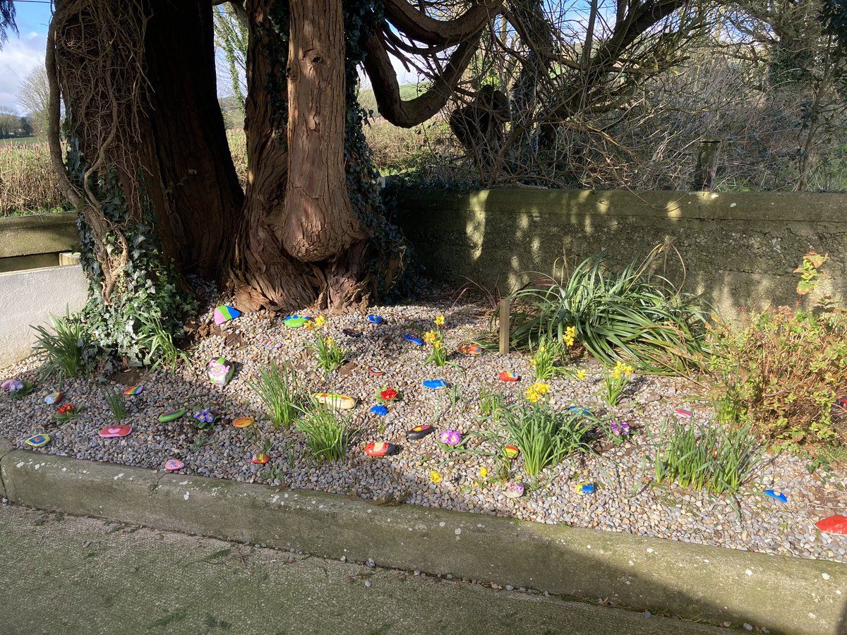 🌼🌺Spring has arrived in Glenroe School! 🌷🌸 Pupils painted rocks to add some colour to our garden. A fairy door 🧚‍♀️and “Oliver Wood” face🗿brighten this space up beautifully. 🤗