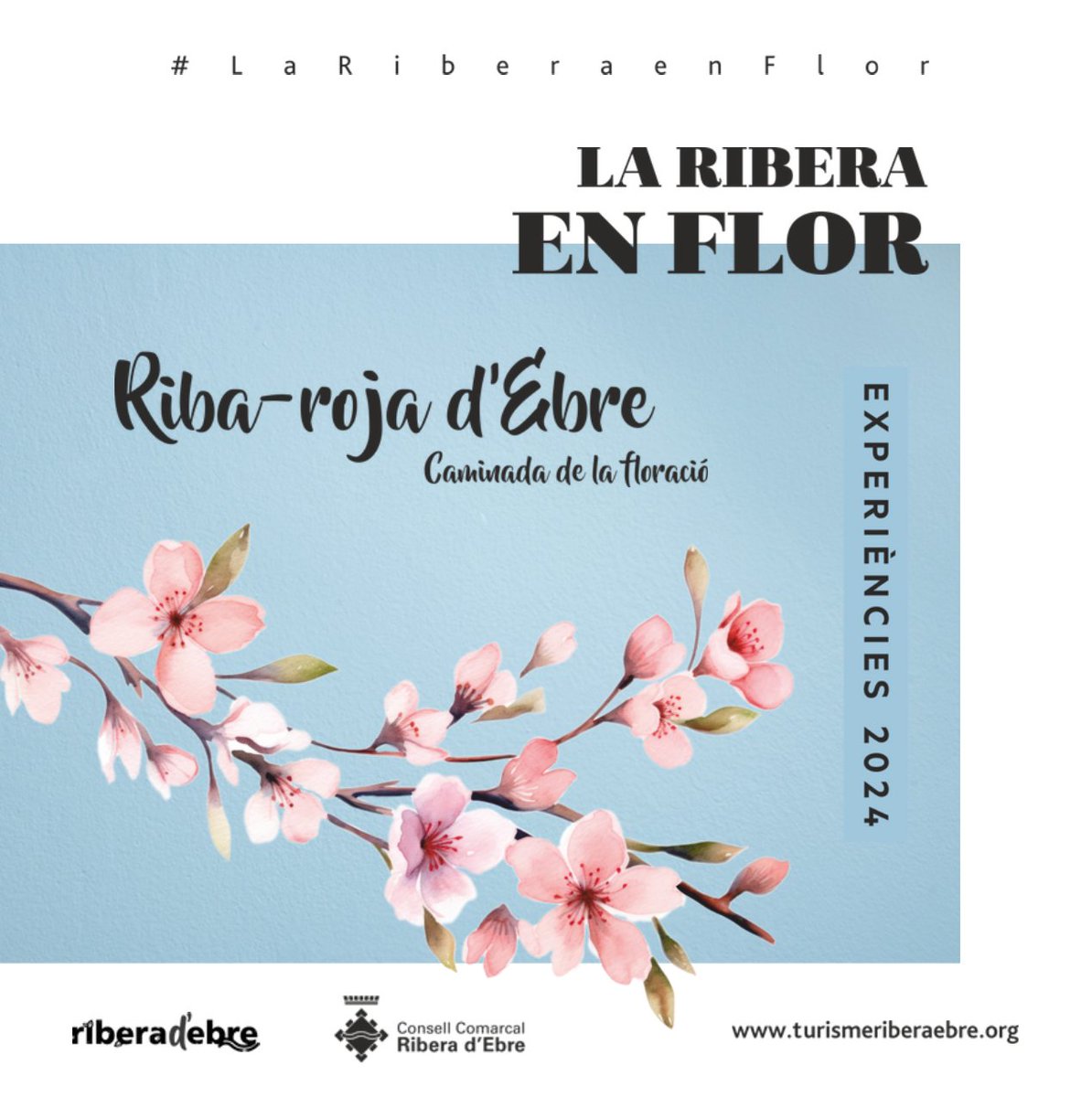 #RibaRojaDEbre Gaudeix de la Ribera en Flor a Riba-roja! esclafit.es/2024/02/28/gau…