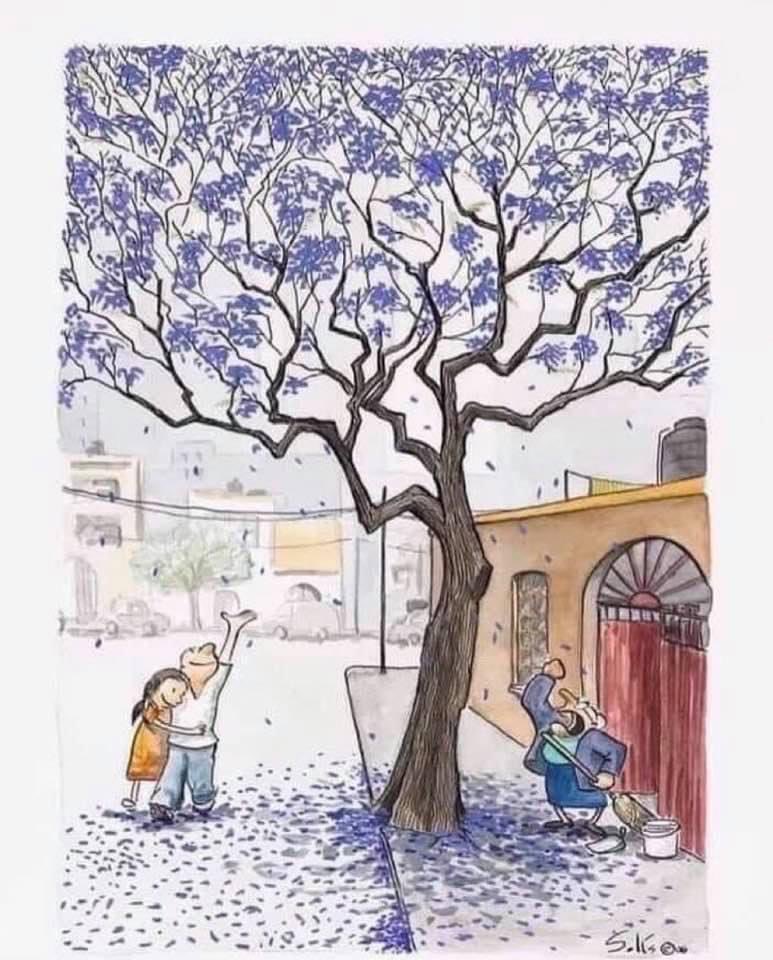 Puntos de vista…
Y si, hace falta mucha educación ambiental en #Mexico