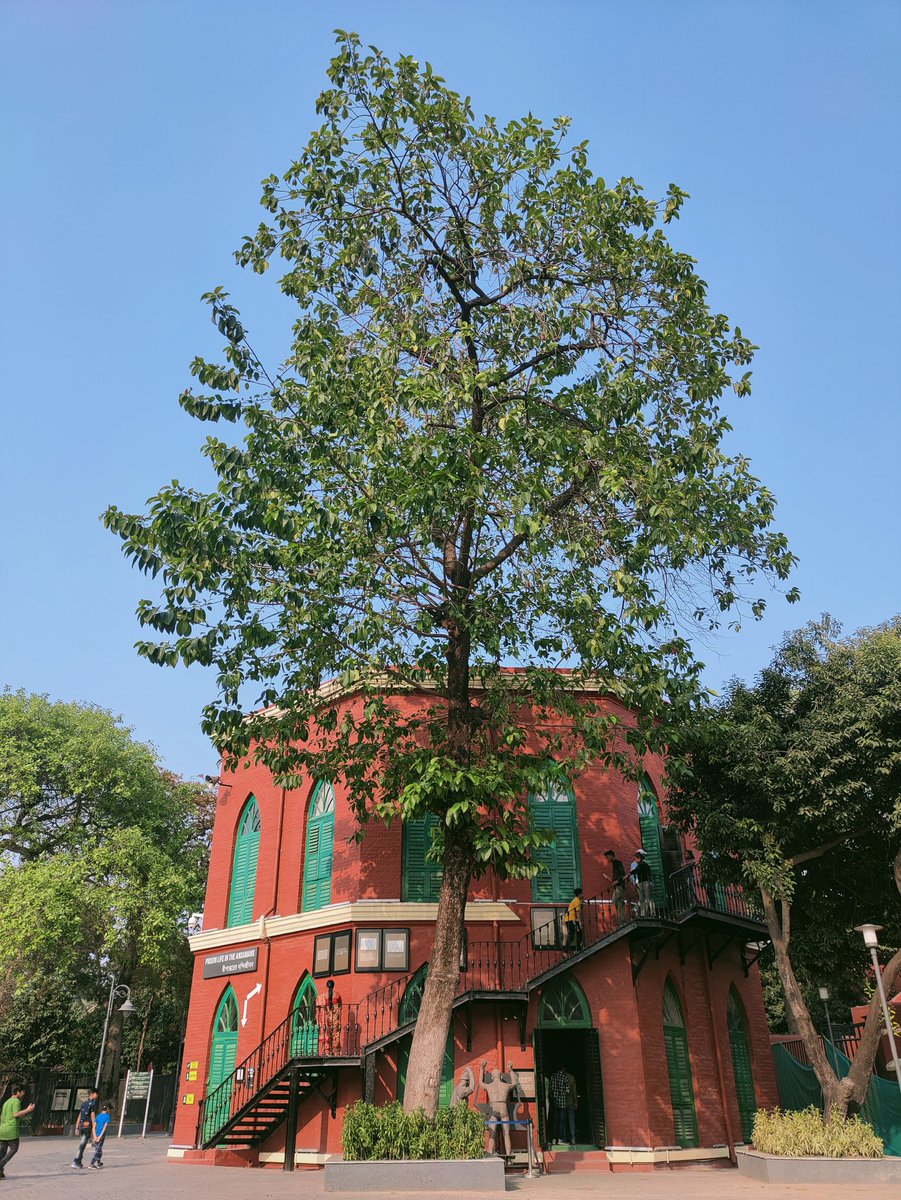 Swarna_here's tweet photo. 📍Alipore Jail Museum. 🏛️
A place where every Indian should visit to enrich themselves once at least.
Historical. Goosebumps. 📝
Freedom Fighters. 🙏
Entry Fee - Rs. 30/-
Experience - Lifetime. ✅
#AliporeMuseum #Kolkata #India #FreedomFighters #Bengal https://t.co/lKjlf3fgB2