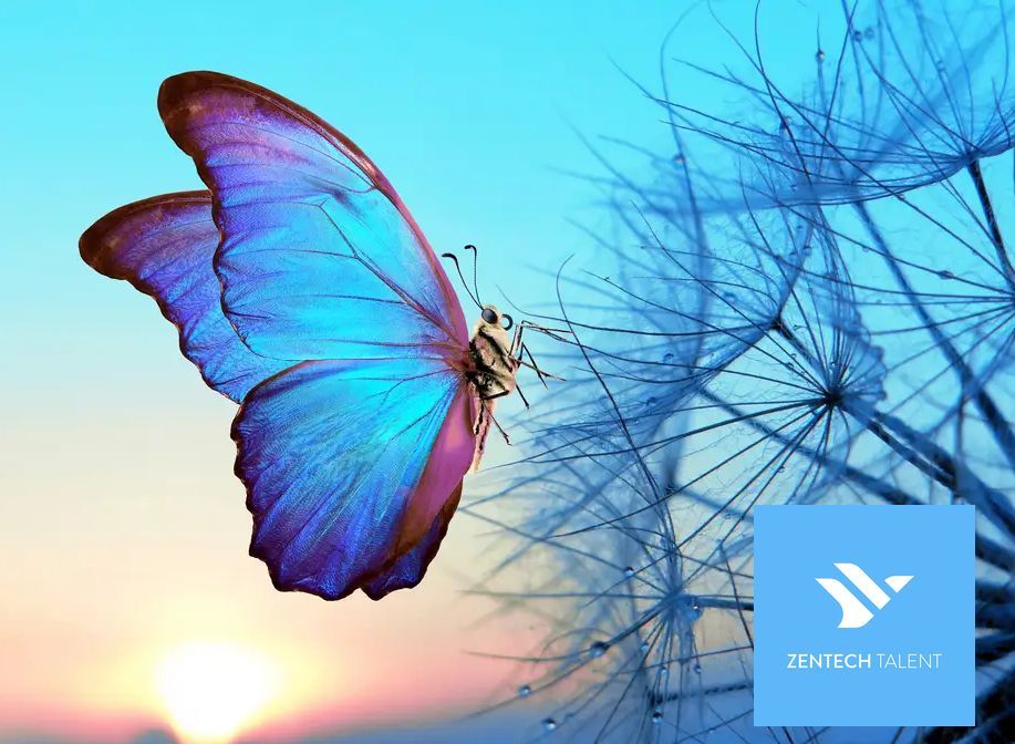 ZenTechTalent tweet picture