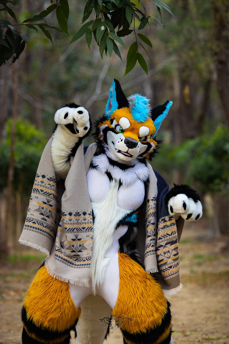 Caramel’s first outdoor shoot, unexpectedly nervous >////< Thank @A_Silly_Wolf_AD for 📷