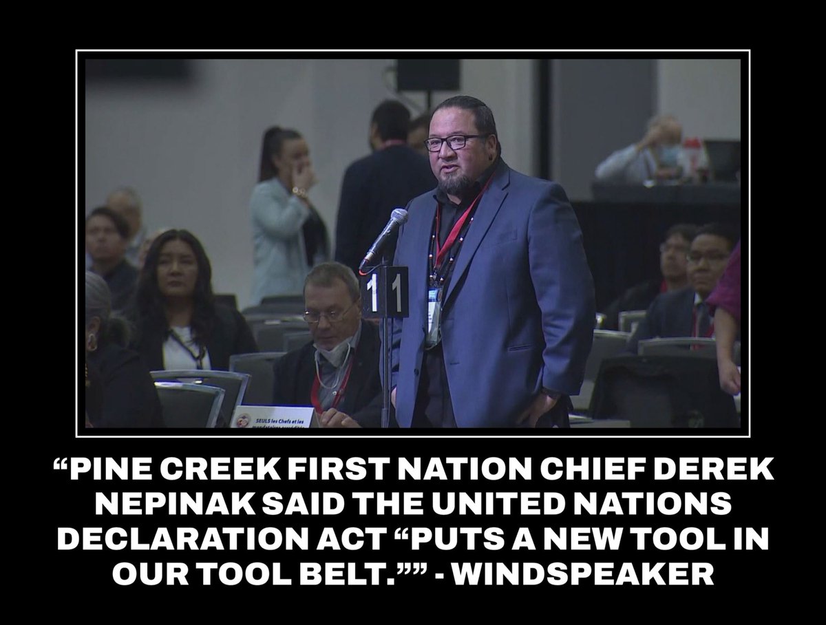 RussDiabo's tweet photo. IMO Chief Derek Nepinak represents perspective of many Indian Act Chiefs about CANDRIP &amp; he’s a lawyer, Bill C-15 Nat’l Action Plan is a Re-Colonization Plan. 

It seems most Indian Act Chiefs think re-colonized municipalization is better than colonial Indian Act! #WhitePaper2 https://t.co/SgTEvdLWAu