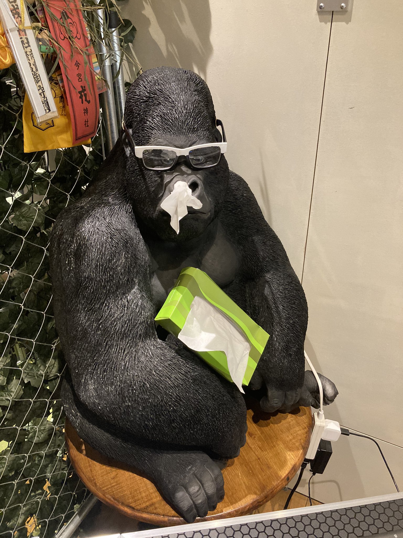 🦍外見も中身もゴリラ似の店長が10/24にオープンする居楽屋ごりら🍺❤️🦍@夢宙センター (@gorilla_muchu) / X 🦍外見も中身もゴリラ似の店長が10/24にオープンする居楽屋ごりら🍺❤️🦍@夢宙センター (@gorilla_muchu) / X