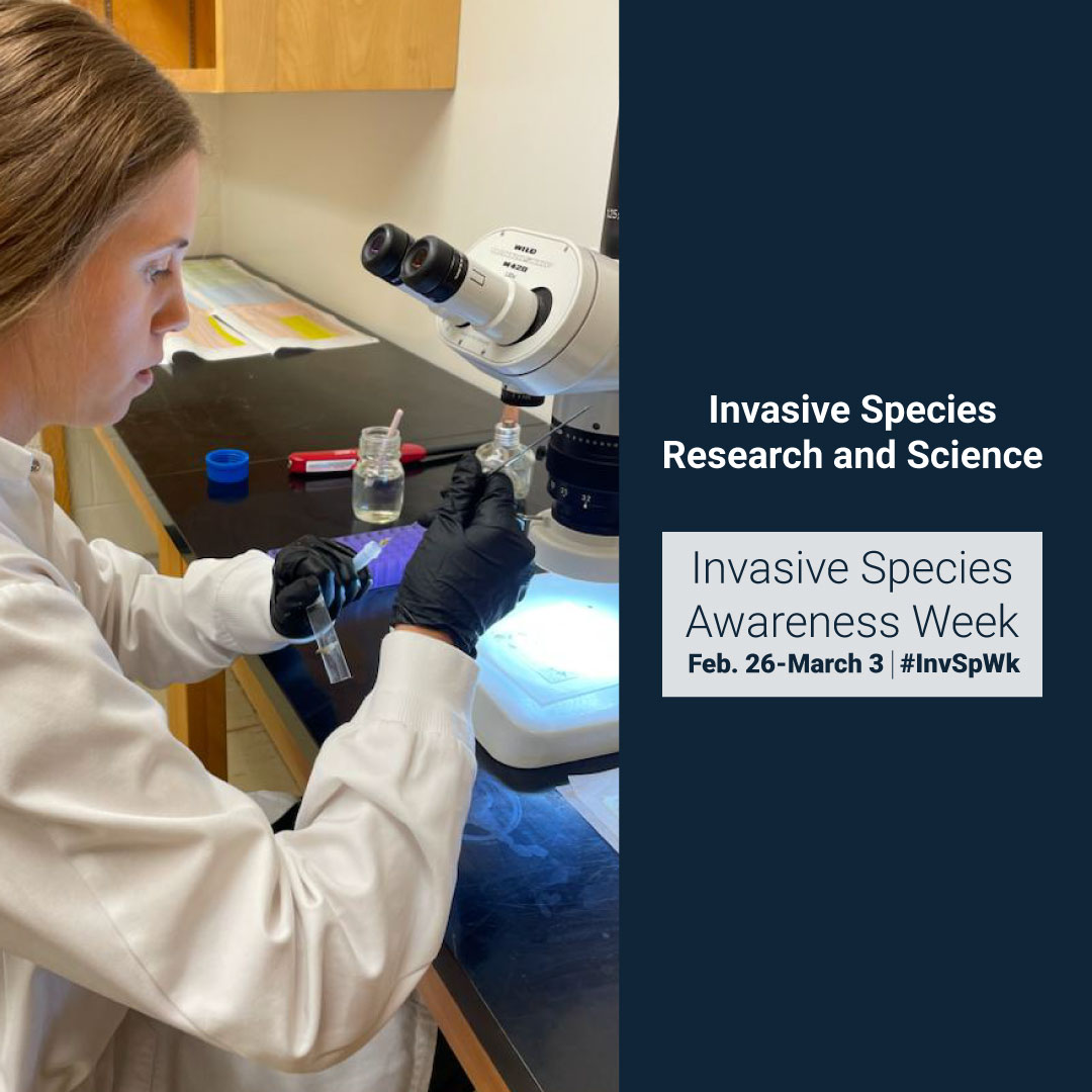 Invasive species experts are constantly advancing the ways we prevent, monitor, and manage invasive species. Get on the cutting edge of stopping the spread of invasive species by seeing the latest invasive species research: bit.ly/381hmqk

#InvSpWk