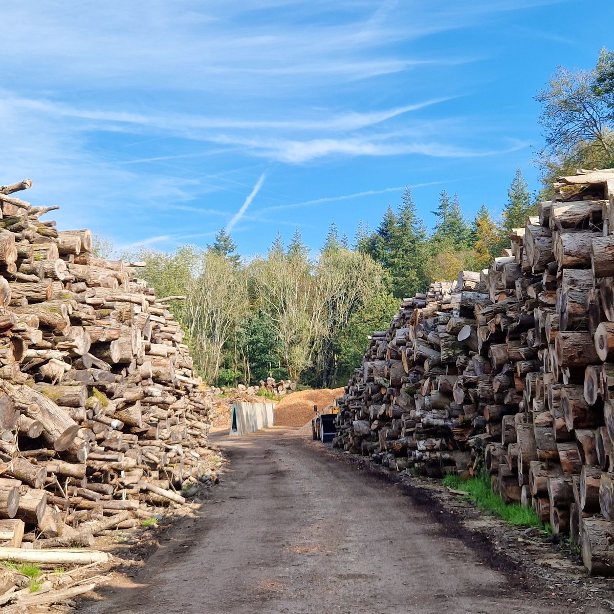 The timber used to produce our wood chip is sourced entirely from local sustainably harvested virgin wood. Each tree is felled under either a licence from the FSC or the Forestry Commission.

Learn more lcenergy.co.uk/woodland-manag…

#Woodlands #Timber #ResponsibleSourcing #Sustainable