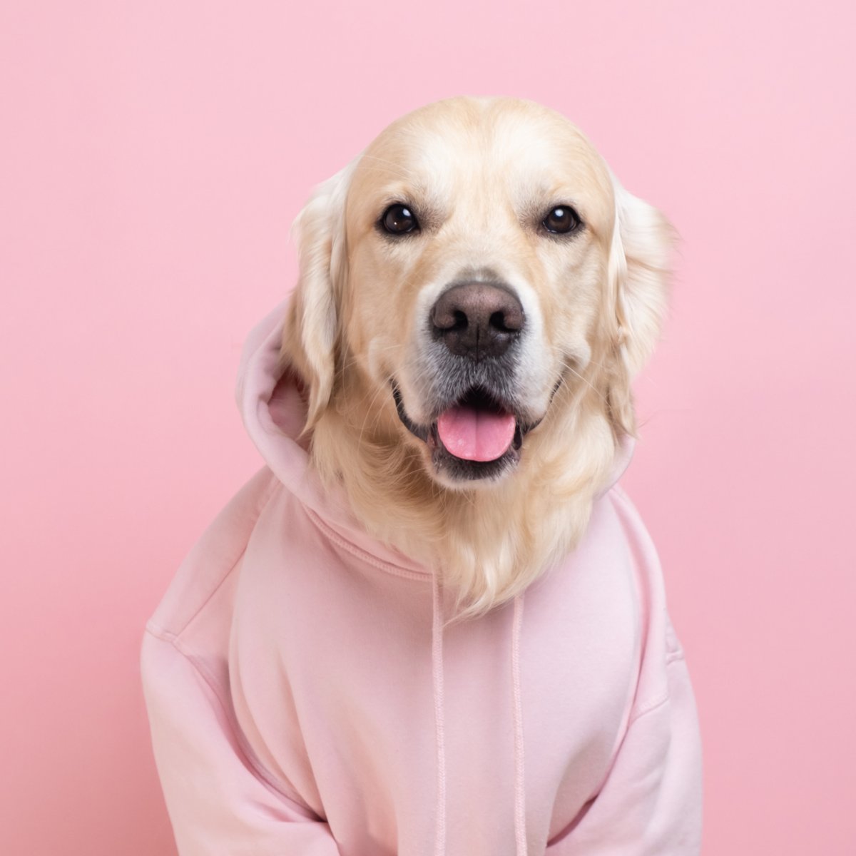 🚨 It's Pink Shirt Day! Join the fight against bullying:

🩷 Discuss cyber-safety with your kids
🩷 Teach the 'Stop, Block, Talk, Save' steps
🩷 Ask about their online experiences
🩷 Foster a safe space for open conversations

Let's unite for change! #PinkShirtDay