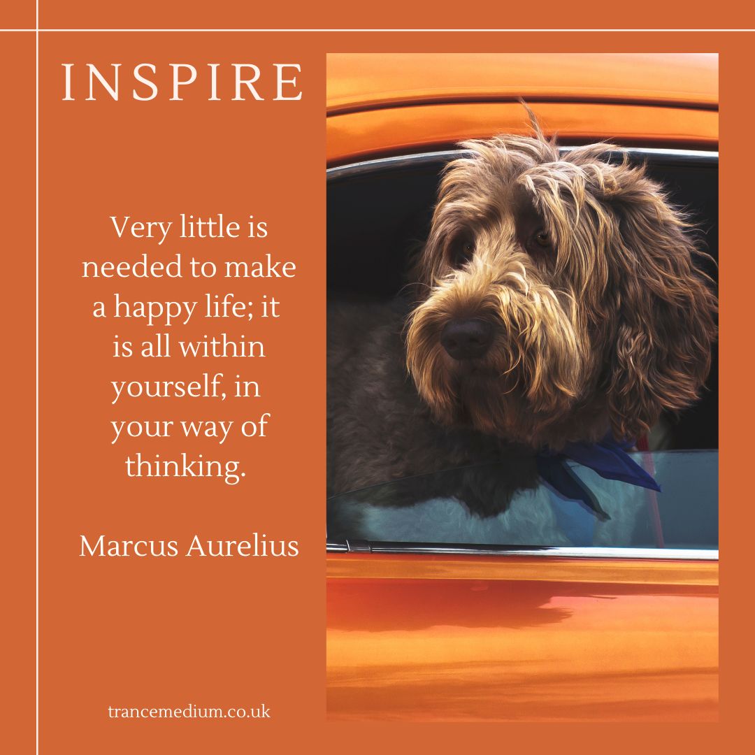 Very little is needed to make a happy life; it is all within yourself, in
your way of thinking. Marcus Aurelius 🧡

#Healing #Growth #SelfAwareness #Counselling #Therapy #EnergyHealing #InnerPeace #Soul #Caring #Kindness #Alchemy #TranceHealing #InnerChild #selfcare #selfcaretips