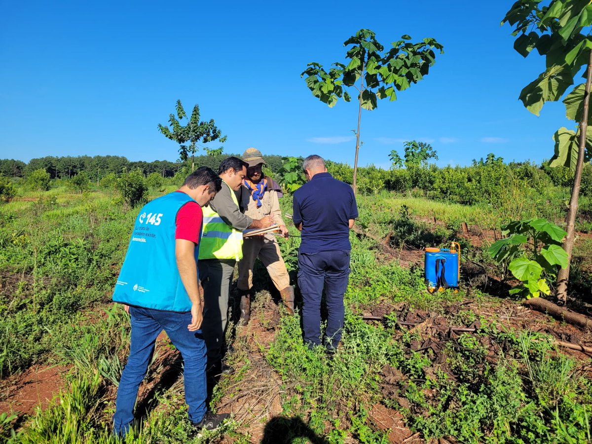 📍 #Misiones: el Comité contra la #Trata participó del relevamiento de trabajadores rurales en las localidades de Alem, Eldorado y Colonia Victoria. Se analizaron posibles indicios de trata y explotación laboral y se concientizó a los trabajadores.

🇦🇷 #ArgentinaSinTrata