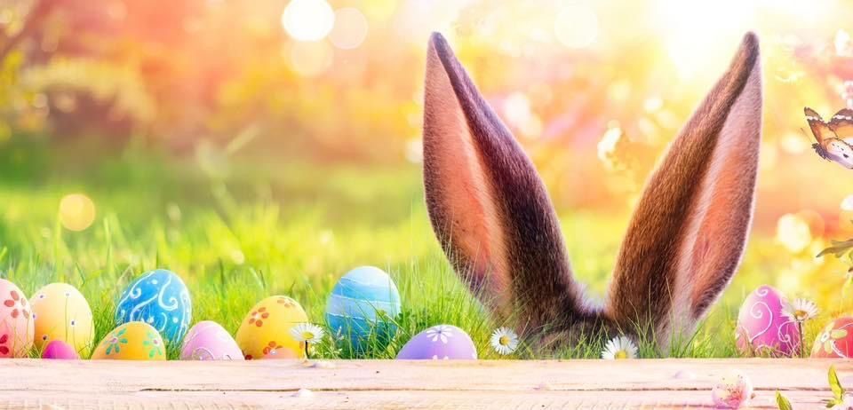 EASTER at Birkenhead Priory! Sunday 17th March - 11am to 3pm 1) EASTER EGG TRAIL Cost: £1.00 2) CRAFTERNOON Easter cards & Easter Bunny Crowns at 12pm & 1.30pm Cost: £4.00 BOOK via: info@thebirkenheadpriory.org 3) Moonshine OWL Sanctuary 4) EASTER BUNNY VISITS CASH ONLY SITE