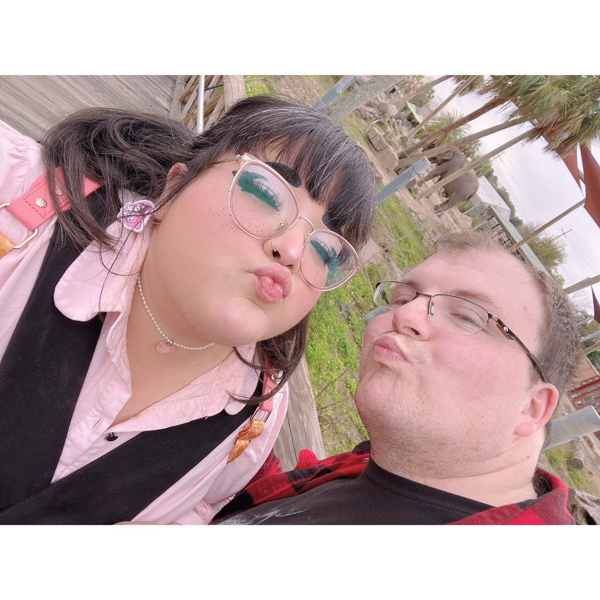 FlappyWaffle's tweet photo. From our 15th anniversary back in January. https://t.co/3WV4uRNc74
