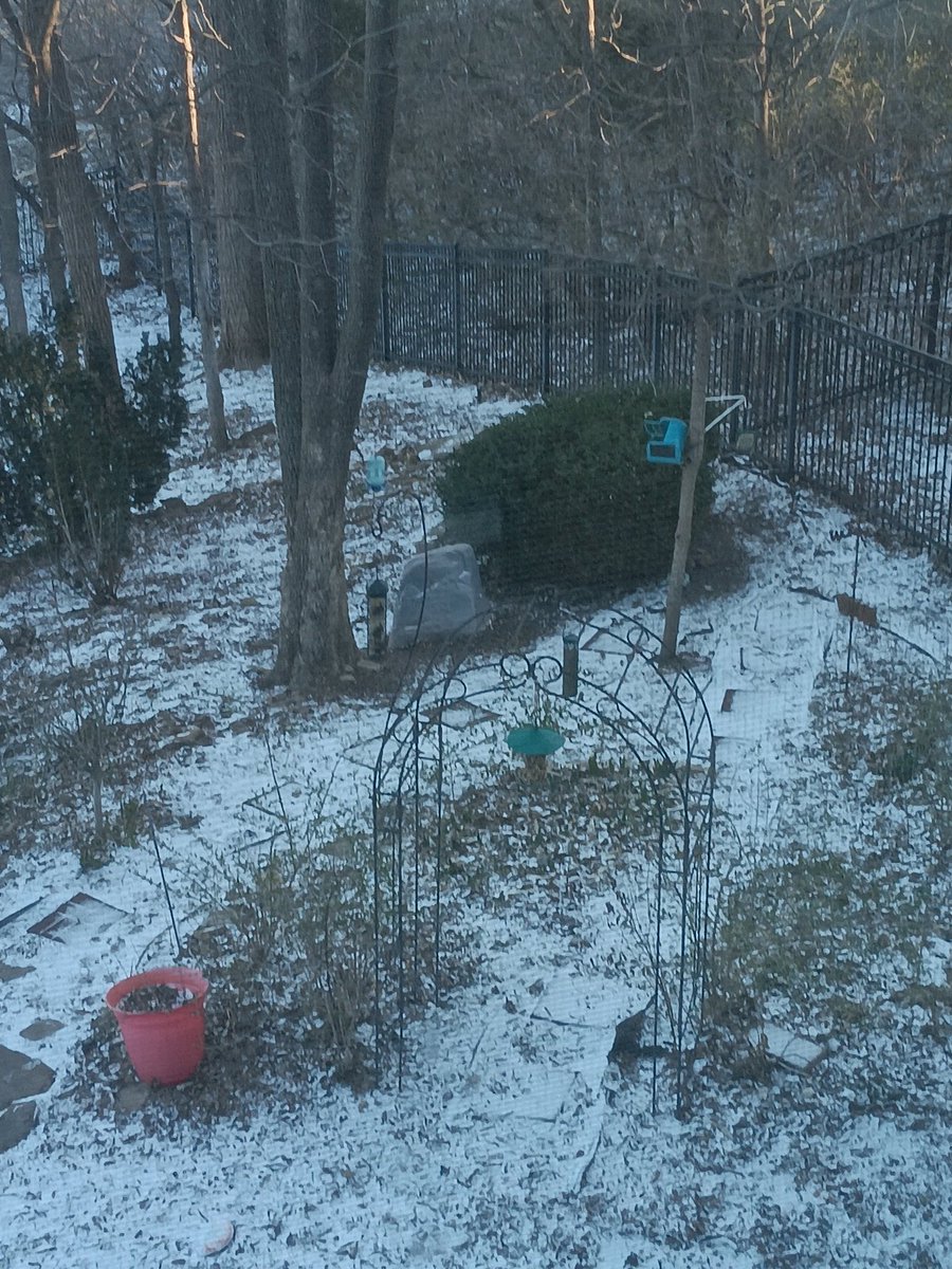 Hey Los Angeles people it's snowing in Kansas City.