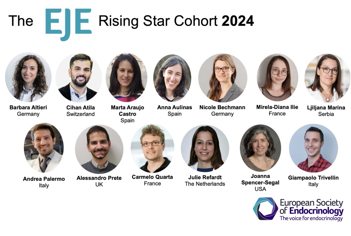 Congratulations to the 13 exceptional endocrine researchers selected for the second @EJEndo 's Rising Star Cohort who will work with me (and from May with my successor @FBeuschlein ) & all the @EJEndo Editors 2024-26! 🌟 Meet the cohort: academic.oup.com/ejendo/pages/r…