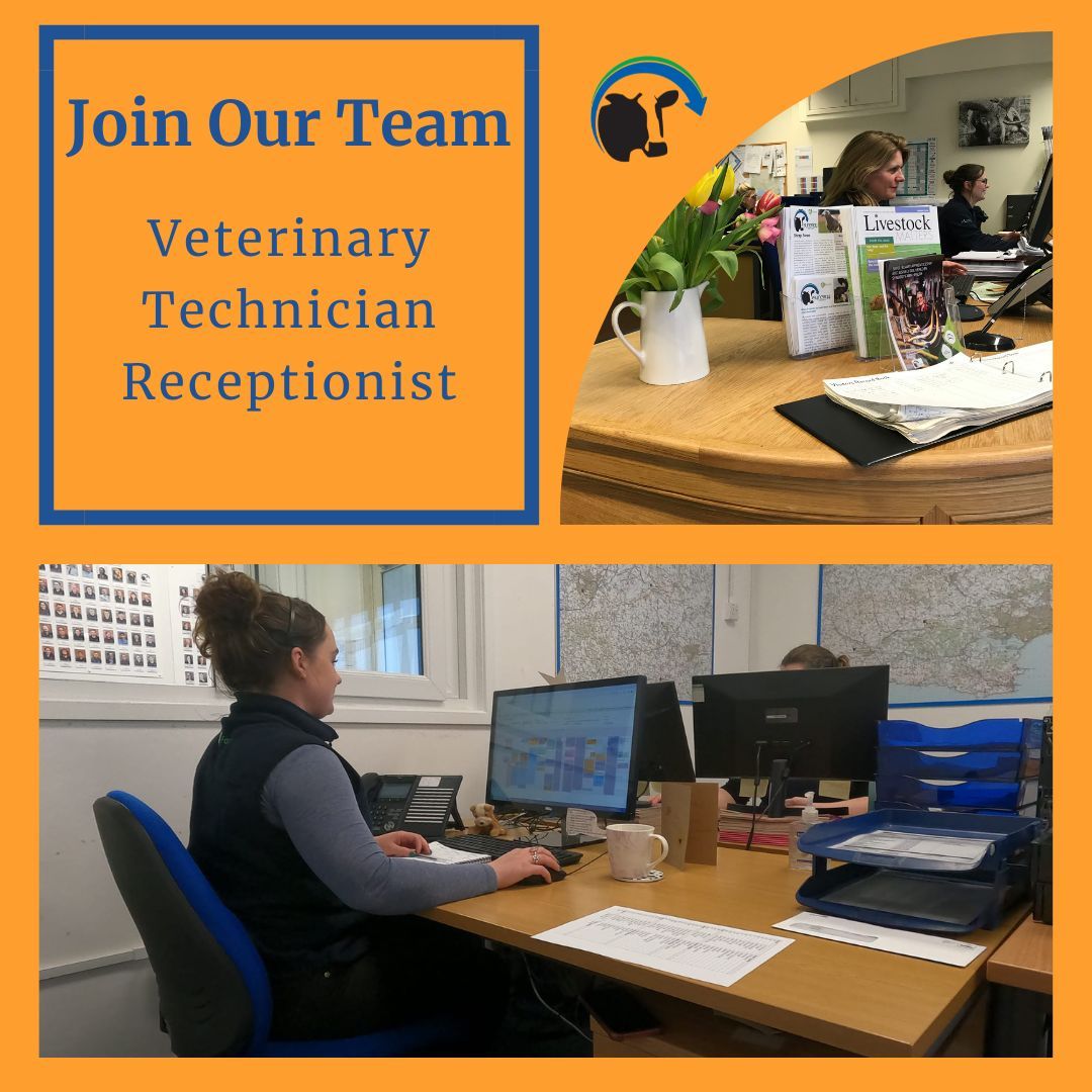 Join our team as a  Vet Tech Receptionist at our Rampisham. The ideal candidate will take sole responsibility for vet tech diaries, and work closely with the Vet Tech Manager to ensure organisational support
To apply, please send your CV to vicki.coxon@synergyfarmhealth.com.
