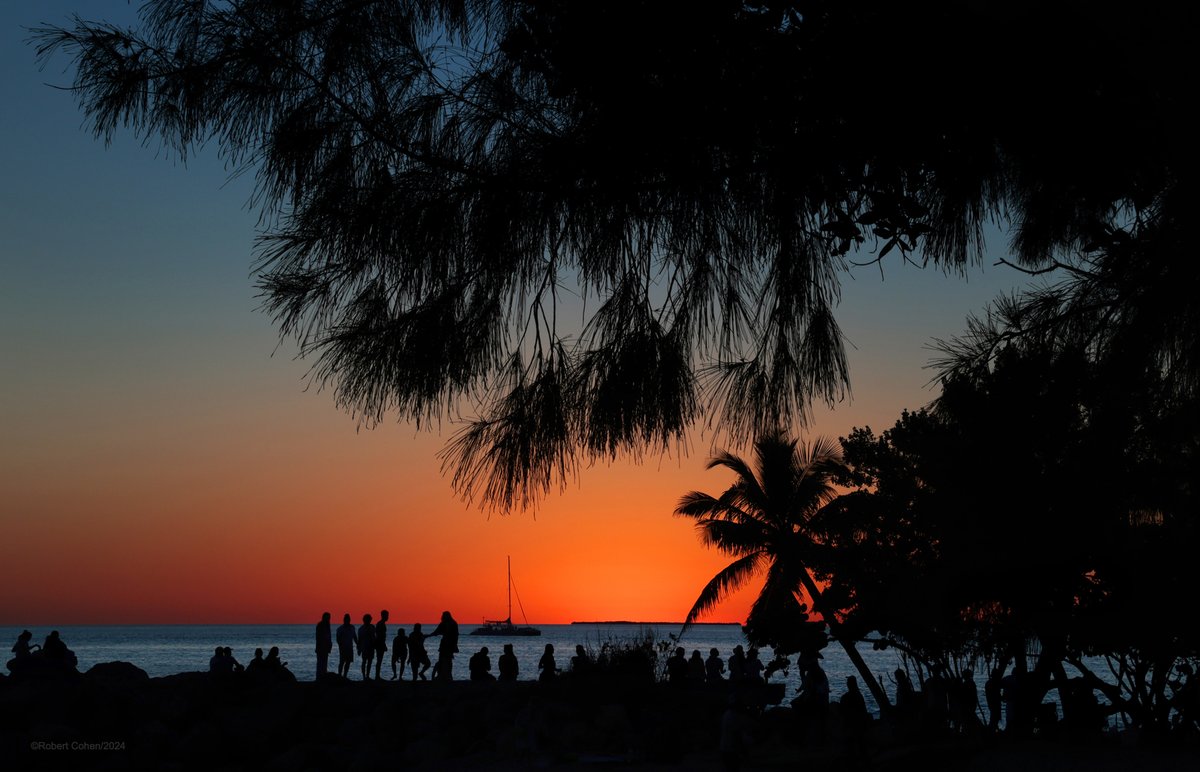 Robert Cohen tweet media