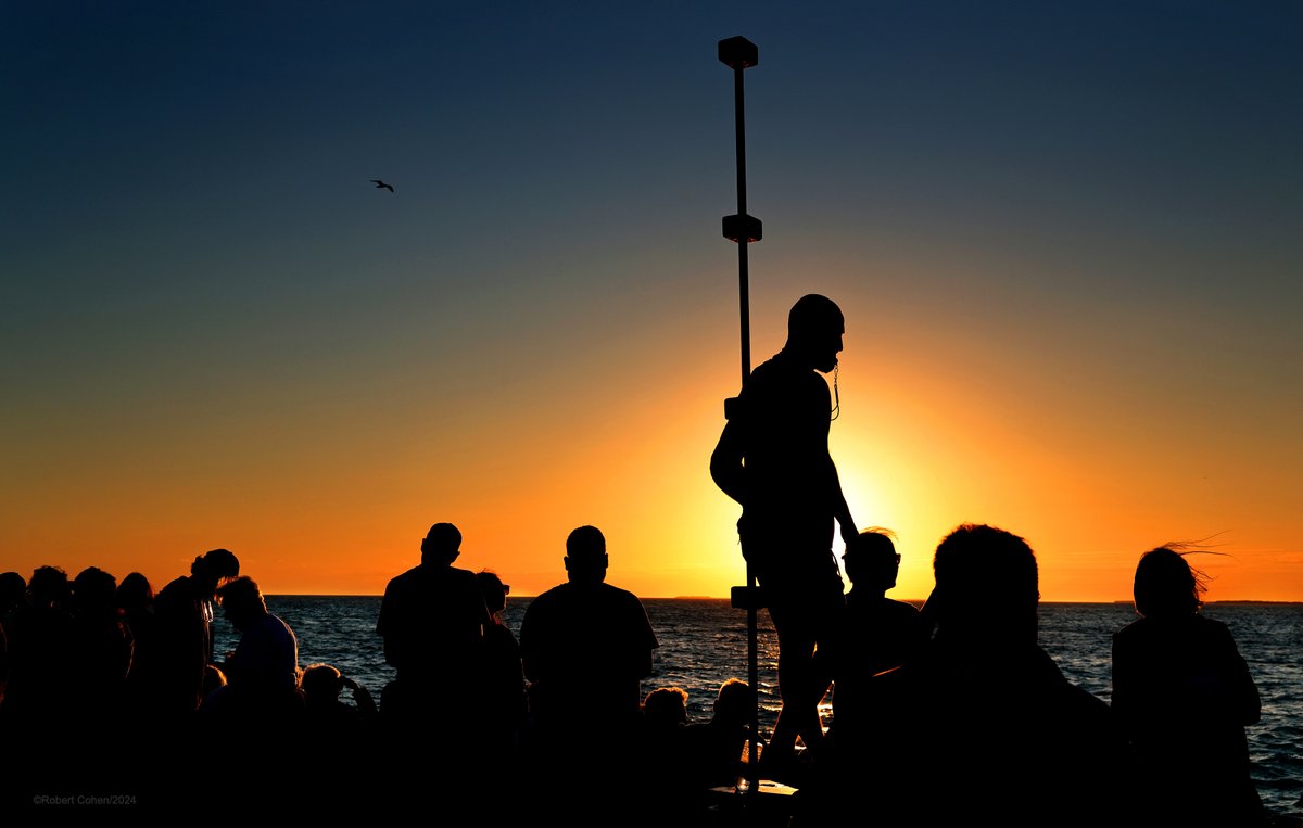 Robert Cohen tweet media