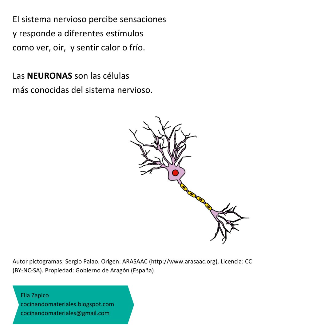 EliaZapico's tweet photo. He subido a mi blog, el material adaptado a lectura fácil, correspondiente a los sistemas de relación, #Biología #3ESO #lecturafácil #blogeducativo https://t.co/inVLl86qFH https://t.co/Lpil2Xc9rj
