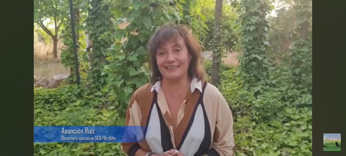 Muchos de los habitantes de #Madrid no conocen ni la existencia ni los valores naturales de este entorno periurbano único. Nada mejor que este vídeo de <a href="/ENTORNOMEAQUES/">ENTORNOMEAQUES</a> con opiniones muy autorizadas, para hacerse una idea de lo que podemos perder...
youtu.be/Jaj98dHJOJo?si…