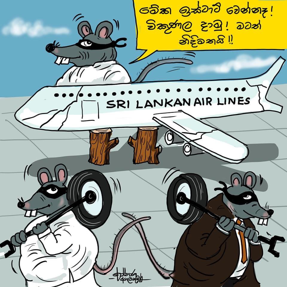 Cartoon by Rohana Agalakumbura

#lka #SriLanka #SriLankanAirlines