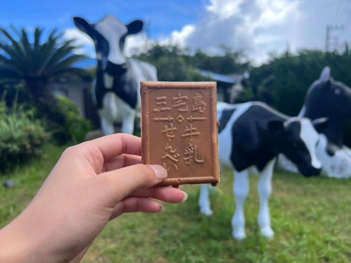 harpsealHosei's tweet image. 活動紹介④ いるかツアー🐬💖
御蔵島に行って野生のイルカと泳いできましたー！！
可愛いイルカたちが目の前をスイスイ泳いぎます👀
宿はとなりの三宅島で🌿島の観光も楽しんじゃいます😌
HARPSEALで一緒にいろんな生き物に会いにいきましょう🤙🏽🌺
#HARPSEAL #法政 #法政新歓 #法政サークル